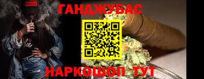 гидра Камышлов