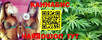 гидра Камышлов