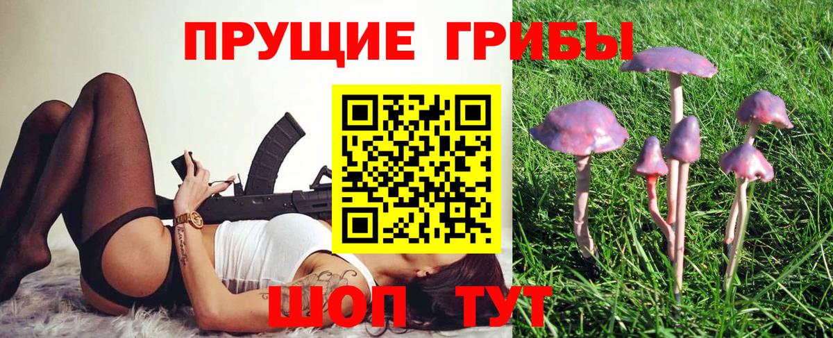 Копейск  Галлюциногенные грибы Cubensis  Вход с VPN 